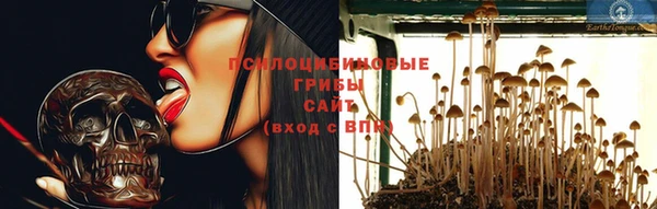 дживик Орск