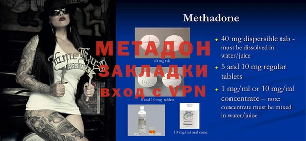 прущие грибы Великий Новгород
