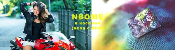 прущие грибы Великий Новгород