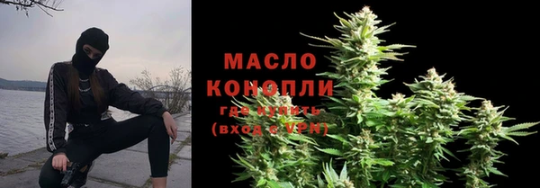 прущие грибы Великий Новгород