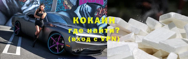 прущие грибы Великий Новгород