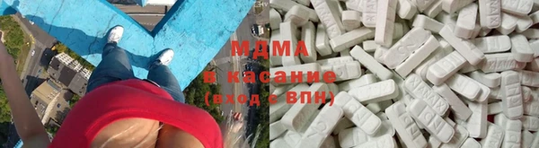 прущие грибы Великий Новгород