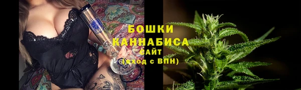 прущие грибы Великий Новгород