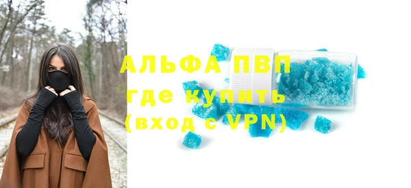 прущие грибы Великий Новгород