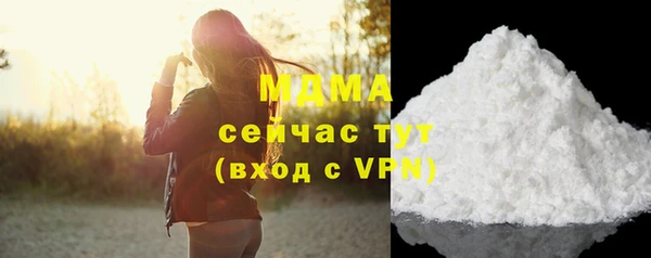 прущие грибы Великий Новгород