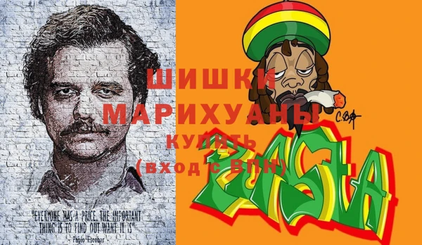 прущие грибы Великий Новгород