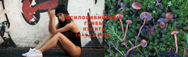 метадон Братск