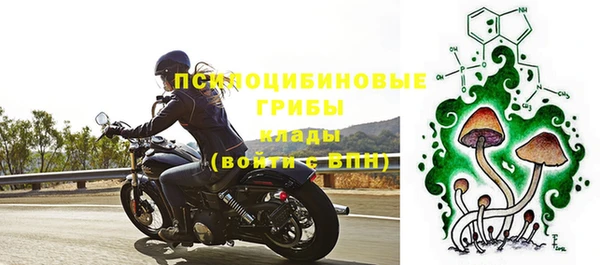 метадон Братск