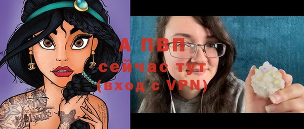 прущие грибы Великий Новгород