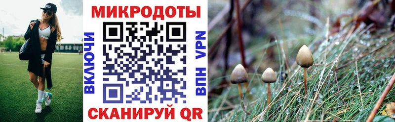 Псилоцибиновые грибы GOLDEN TEACHER  купить наркотики сайты  Алдан 