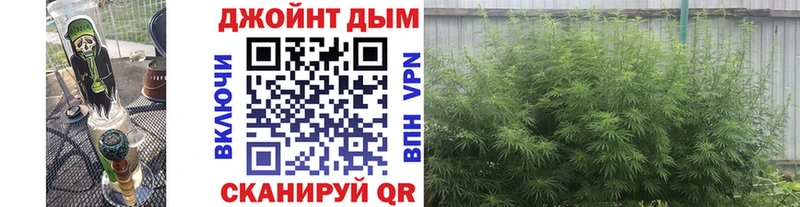 Бошки марихуана AK-47  blacksprut ссылки  Алдан 